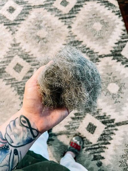 Brush with a handle for picking up pet hair - PetНair photo review