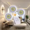 Φωτισμός LED με τηλεχειριστήριο 3 τεμ. – LED light » Murzl Φωτισμός LED με τηλεχειριστήριο 3 τεμ. – LED light - Image 2