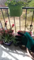 Γάντια κήπου με νύχια Garden Gloves » Murzl Γάντια κήπου με νύχια Garden Gloves photo review