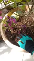 Γάντια κήπου με νύχια Garden Gloves » Murzl Γάντια κήπου με νύχια Garden Gloves photo review