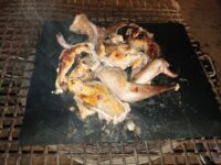 Non-stick grill mats 5 pcs. photo review