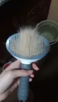 Brush for cats and dogs - PetBrush photo review
