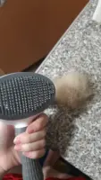 Brush for cats and dogs - PetBrush photo review