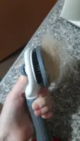 Brush for cats and dogs - PetBrush photo review