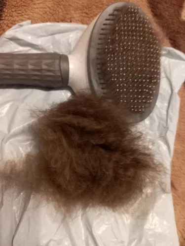 Click to view full screen Brush for cats and dogs - PetBrush photo review