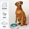 Μπολ για αργό τάισμα κατοικίδιων – PetFeeder » Murzl Μπολ για αργό τάισμα κατοικίδιων – PetFeeder - Image 2