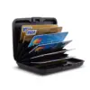 credit-card-doc-organizer-6-compartments