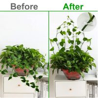 clips-for-holding-and-arranging-flowers-50-pcs