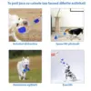 Παιχνίδι σκύλου με βεντούζα – DogToy » Murzl dog-toy-with-suction-cup-dogtoy