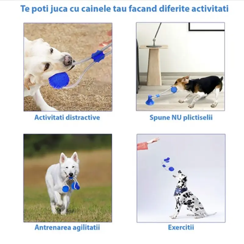 Παιχνίδι σκύλου με βεντούζα – DogToy » Murzl dog-toy-with-suction-cup-dogtoy