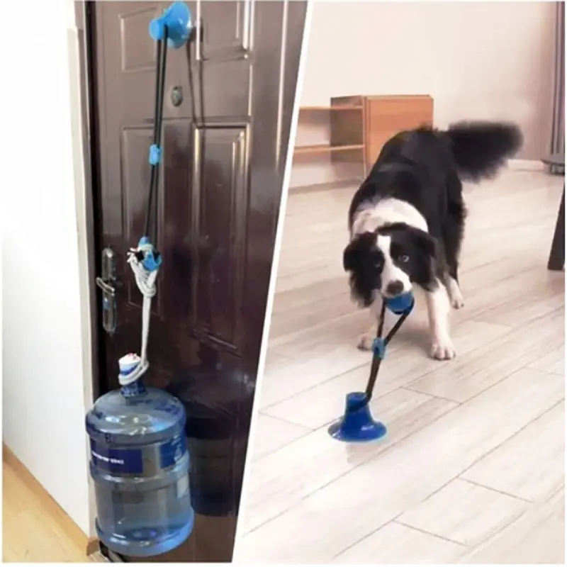 Παιχνίδι σκύλου με βεντούζα – DogToy » Murzl dog-toy-with-suction-cup-dogtoy