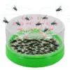 Ηλεκτρική παγίδα μύγας με USB – Flytrap » Murzl Ηλεκτρική παγίδα μύγας με USB