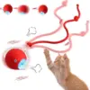 Διαδραστικό παιχνίδι για γάτες – CatPlay » Murzl Διαδραστικό παιχνίδι για γάτες