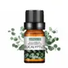 Αιθέρια έλαια για λάμπες αρώματος – Еssential oils » Murzl Αιθέρια έλαια για λάμπες αρώματος