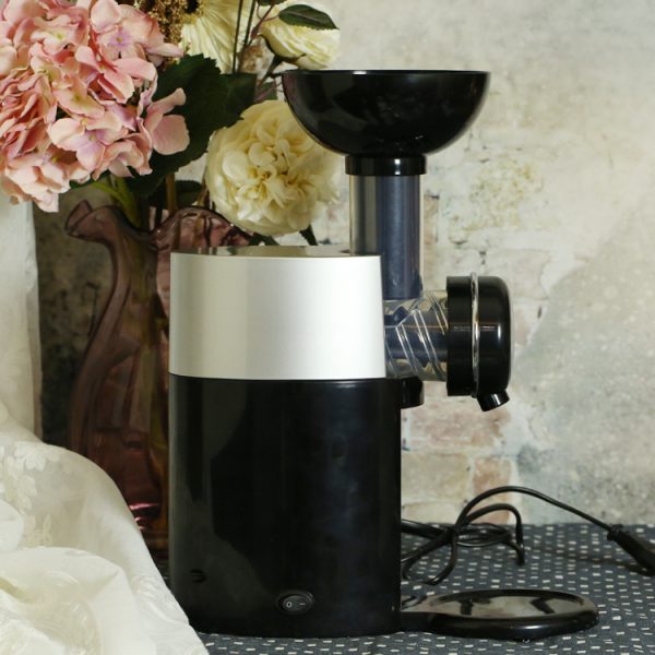 Μηχανή παγωτού φρούτων για το σπίτι – Fruit yogurt machine » Murzl Μηχανή παγωτού φρούτων για υγιεινό σπιτικό παγωτό